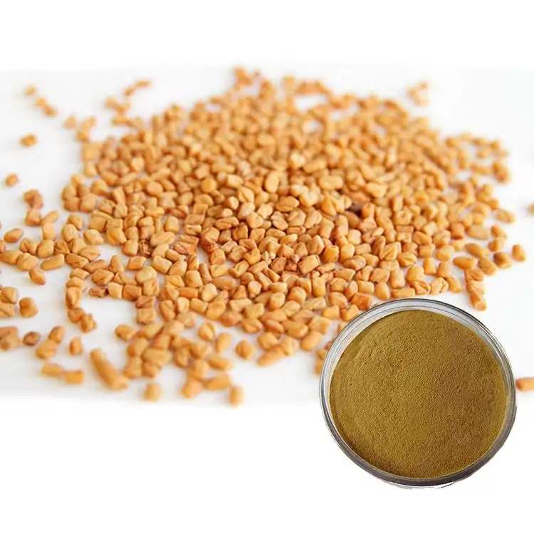 wholesale bulk fenugreek seed extract 100% pure Fenugreek Seed powder