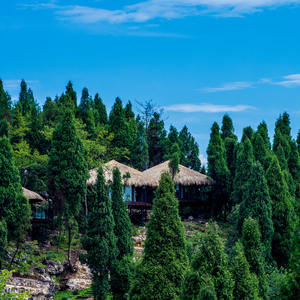 Casa de campo con techo de paja Resort Casa de madera Cabaña de troncos prefabricada redonda Terraza al aire libre Ocio Vacaciones Hotel Lodge Tiny Cozy Villa - Product Image 3