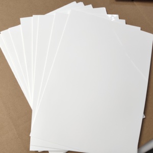 Polaroid đục RC ảnh phun phim-đôi bên bóng | 100 tờ 12 "* 19" Pet RC ảnh phim | Nhà máy cung cấp hình thức Trung Quốc - Product Image 1