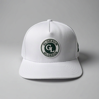 Casquette de golf respirante, légère, perforée, avec fermeture snapback, chapeau de sport, logo personnalisé, OEM ODM, casquette snapback