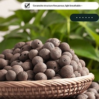 Vente en gros OEM – Gravier d'argile expansée (LECA) personnalisé avec logo, céramique expansée pour culture hydroponique, idéal pour le dropshipping