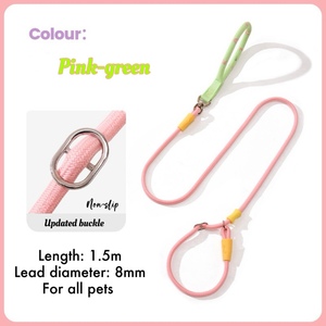 New Fashionable Simple Pet Traction Rope Dog &amp; <strong>Cat</strong> Leash Chain Durable with Lovely Modern Styles Decorative Ribbons - Product Image 4