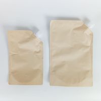 MOQ500 Sachet Doypack en papier kraft de 30 ml avec bec verseur et bouchon à clapet pour emballage de shampoing, lessive liquide, savon liquide pour les mains et lotion