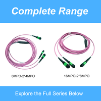 3.0mm 8F MPO/APC Branch Jumper Cable | Assemblage de fibre optique intérieur pré-terminé 1x2MPO pour centre de données | Cordon de raccordement