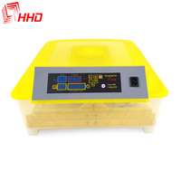Incubateur à Poulets Automatique Professionnel Mini Solaire HHD 48 Œufs à Vendre