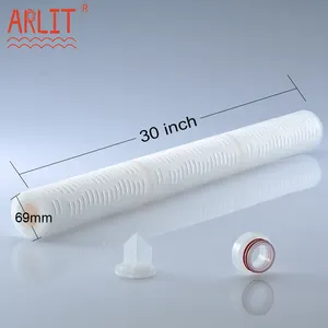 30 pouces de cartouche filtrante microporeuse hydrophile de PTFE appropriée au filtre chimique