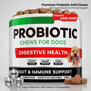 Probióticos para mascotas para perros, enzimas digestivas, tratamiento para la salud intestinal, masticables, alivio antidiarrea, suplemento de fibra prebiótica, probióticos para perros - Product Image 1