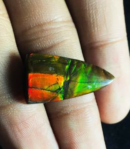 Cabochonsสามเหลี่ยมAmmoliteแคนาดาธรรมชาติอัญมณีหลวมจากอินเดีย - Product Image 4