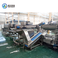 Automatische productielijn voor fruit en groenten met aangepaste capaciteit, voorbewerking en vibratie.