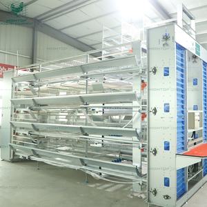 Cage à volailles professionnelle de type H à empilement vertical à plusieurs niveaux pour <span class=keywords><strong>poulailler</strong></span> 50000 oiseaux - Product Image 6