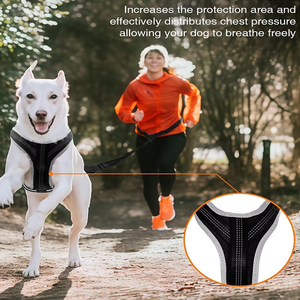 Conjunto de Arnés <span class=keywords><strong>Canicross</strong></span> para Perro con Cinturón y Correa Amortiguadora, Arnés Ajustable para Correr, Senderismo y Ciclismo para <span class=keywords><strong>Perros</strong></span> Grandes - Product Image 3