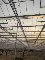 Serre commerciale en polycarbonate pour plantes Cadre en aluminium économiquement efficace avec PE et matériau de film pour l'agriculture