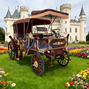 Charrette royale sans chevaux pour visites touristiques, chariot électrique de type citrouille pour transport spécial, chariot électrique de tourisme - Product Image 2