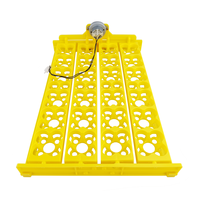 Couveuse automatique 24 ou 104 œufs Plateau d'œufs de caille volaille de ferme avec moteur