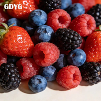 2026 Hot Sale Bulk Diepvries Bessenmix Snelle Verzending Lage Kosten Gescheiden Gemengde Bessen Groothandel IQF Diepvries Fruit