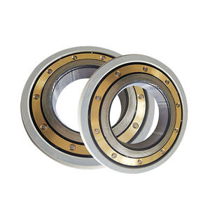 Rodamientos Automotrices, Soportes para Motores Personalizados No Estándar con Rodamientos Aislados Recubiertos de Aluminio 6316/C3VL0241 - Product Image 5