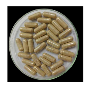 Extracto de hongo Chaga 150 cápsulas Suplemento de alta potencia rico en antioxidantes para el apoyo inmunológico y el bienestar diario - Product Image 3