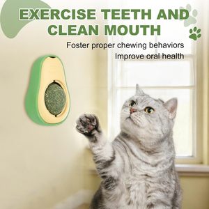 PETAXCELL Balle à mâcher en plastique décontractée à la catnip pour chats d'intérieur, jouet rotatif pour le nettoyage des dents, vert jaune, petite taille - Product Image 3