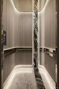 Ascenseur de villa de luxe de conception moderne, fabriqué en Chine, facile à installer, petit ascenseur pour la maison, résidentiel - Product Image 3