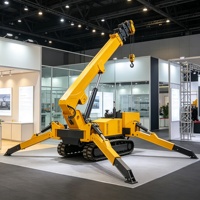 Grue araignée compacte abordable avec performances fiables et entretien facile pour la location