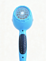 Sèche-cheveux professionnel électrique personnalisé avec logo OEM, moteur AC 2600W, fonction ionique, diffuseur, buse, pour salon, hôtel, usage domestique et en camping-car