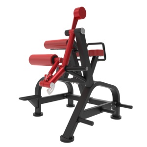 Máquina de Entrenamiento de Fuerza con Placas de Peso para Fisicoculturismo, Equipo de Gimnasio, Hiperextensión Inversa en Venta - Product Image 1
