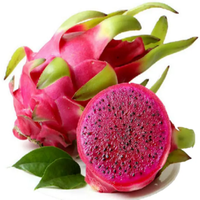 Poudre de fruit du dragon (pitaya) rouge naturel, qualité alimentaire, certifiée HALAL, lyophilisée, 80 mesh, disponible toute l'année, emballée sous vide en fût