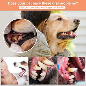 Fábrica al por mayor logotipo personalizado gato cepillo de dientes mascota dedo cepillo perro dedo cepillo de dientes - Product Image 6