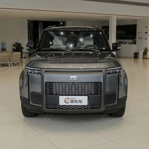 Rox01 2024 mô hình độc quyền 6 chỗ xe mới với các tùy chọn phạm vi tiêu chuẩn và mở rộng - Product Image 1