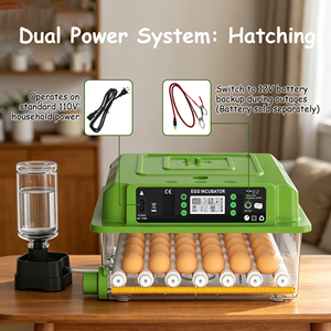 <span class=keywords><strong>Vente</strong></span> flash : Équipement d'incubation d'œufs entièrement automatique à taux d'éclosion élevé, incubateur d'œufs adapté aux poulets - Product Image 4