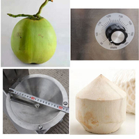 Machine à décortiquer la noix de coco portable, éplucheur de noix de coco léger pour usage domestique et petites entreprises