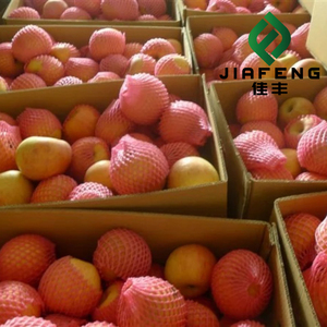 Fournisseur chinois de pommes Fuji fraîches - Agriculture naturelle, <span class=keywords><strong>devis</strong></span> compétitif - Product Image 5