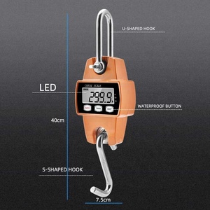 Nhà Máy bán hàng trực tiếp Chất lượng cao 300kg điện tử xách tay quy mô LCD/LED hiển thị tùy chỉnh OEM/ODM hỗ trợ - Product Image 5