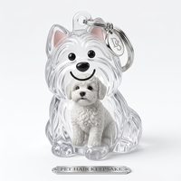 Boîte de rangement transparente pour poils d'animaux de compagnie, porte-clés pour chien, capsule souvenir, pendentif décoratif pour propriétaires d'animaux