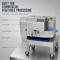 Industriële commerciële machine voor het fijn snijden van verse groene bladgroenten, zoals selderij, kool, peterselie, iceberg sla en spinazie.