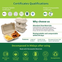 Boîtes alimentaires Oasis Bagasse Emballage écologique à emporter pour le service alimentaire pour les repas hors domicile