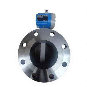 Medidor de Flujo Original Endress+Hauser 72F50 DN50 de Acero Inoxidable 316L, Modelo para Medición de Gas, Medidor de Flujo Completo - Product Image 1