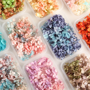 Flores Secas Preservadas para Boda, Hortensia <span class=keywords><strong>Annabelle</strong></span> - Product Image 4