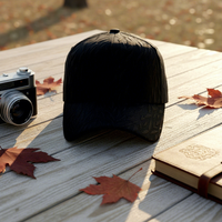 Casquette de baseball unisexe ajustable à motif lettres Dobby Puff sportive hip-hop, très tendance, pour personnalisation transfrontalière