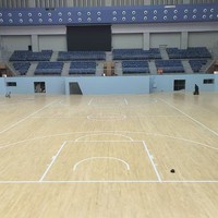 Parquet sportif en bois de bouleau massif FH FH-22D pour salles de basketball et de badminton intérieures, gymnases scolaires et terrains de sport