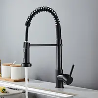 Rozin — robinets mitigeurs de cuisine en laiton massif, à levier unique, vaporisateur, pour évier de cuisine, noir mat