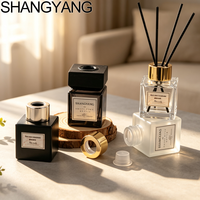 Flacon diffuseur de parfum décoratif de luxe pour la maison, 50 ml, flacons d'aromathérapie vides avec bouchon à vis, en stock
