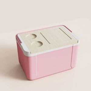 Nevera Portátil Moderna de 14L con Tapa de PP de Alta Calidad, Precio Directo de Fábrica, para Pescado, Hielo, Alimentos, Vino y Agua - Product Image 1