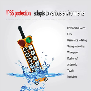 Chất lượng cao F24-12S công nghiệp không dây điều khiển từ xa 12 kênh điều khiển từ xa <span class=keywords><strong>Receiver</strong></span> và Transmitter - Product Image 3