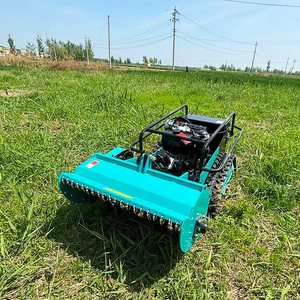 Cortadora Remota para Campos Agrícolas, Elimina la Vegetación Excesiva en Terrenos sin Cultivo y Plántulas en Cultivos Rotacionales - Product Image 2