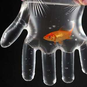 Luvas descartáveis do vinil do PVC transparente pó-livre, luvas do agregado familiar da inspeção da mão do serviço do alimento
。 - Product Image 6