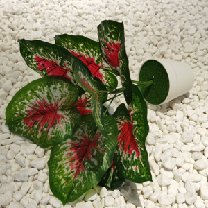 YD8735 Caladium หลอดไฟพืชเทียมตกแต่งบ้านขายส่ง<span class=keywords><strong>ราคา</strong></span>ถูกพืชในร่มสำหรับขาย - Product Image 6