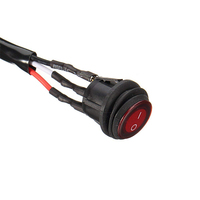 Pabrik disesuaikan 2 pin otomotif lampu kabut lampu rakitan kabel harness kabel