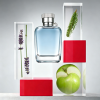 Parfum pour homme Premium aux herbes vertes et aux agrumes, vaporisateur, longue tenue, parfum de créateur, vente en gros, marque privée