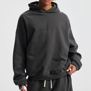 Sudadera con Capucha de Invierno de Primera Calidad, 500 g/m², de Poliéster/Algodón, Estilo Urbano, Gruesa, con Bordado 3D para Diseño - Product Image 1